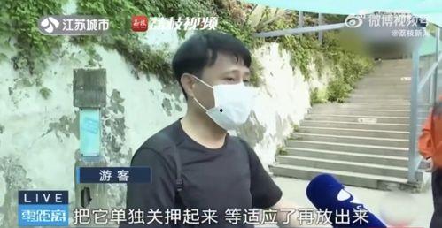 网友拍到网红吃瓜,网友直呼“太真实” 第1张 网友拍到网红吃瓜,网友直呼“太真实” 第1张