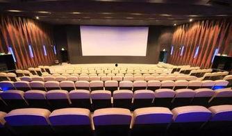 有家影院在线观看,有家影院在线观影新体验  第3张